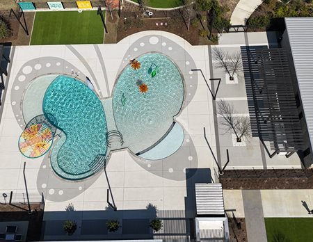 Butterfly Pool Shape