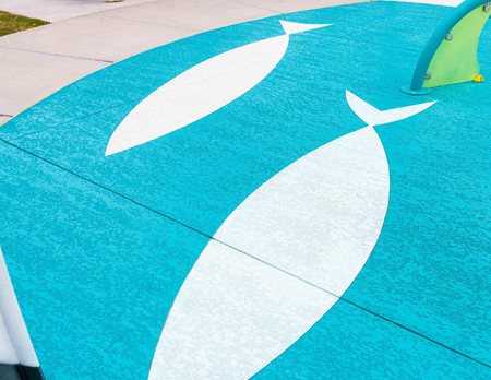 fish splash pad