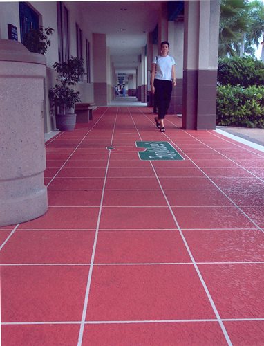 Restaurant Walkway
Restaurant & Retail
Sundek
