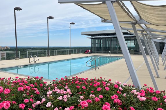 rooftop pool coating BLVD Reston Station